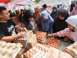 Harga telur ke beraneka wilayah pertengahan bulan ini