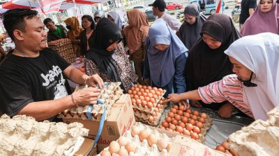 Harga telur ke beraneka wilayah pertengahan bulan ini