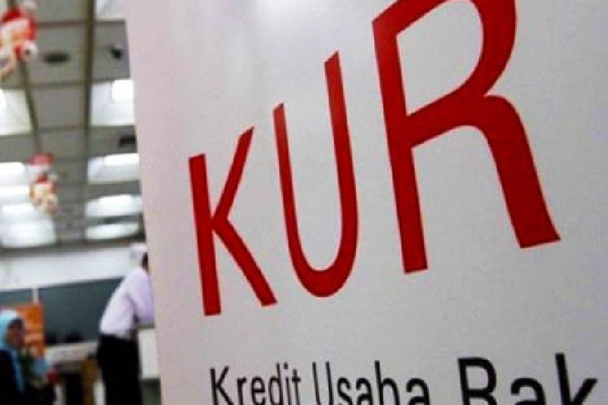 Jenis-jenis kredit bidang usaha rakyat (KUR) sesudah itu kriteria penerimanya